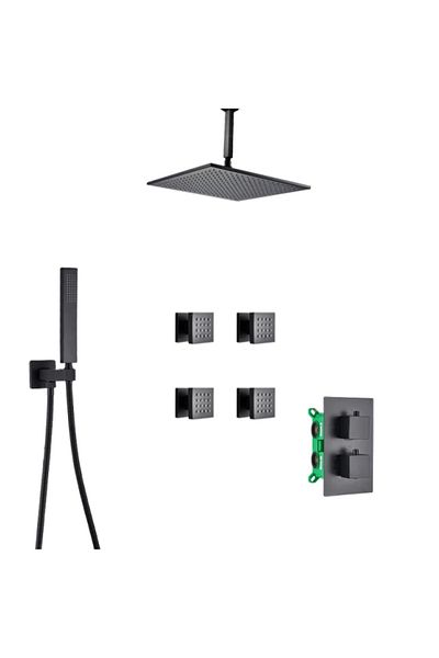 Blackswan Design Shower mixer set, Blackswan, Type M73.60 Massage nozzles, matt black model, size 25 cm