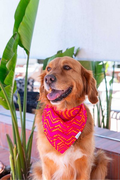 Lorico Dog Snap Fastener Patterned Scarf/Bandana