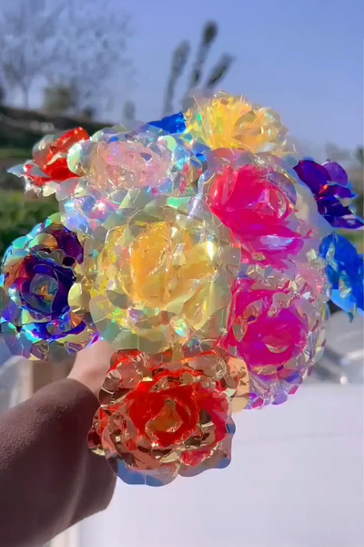 Home 200 قطعة من وردة اللانهاية بالجملة