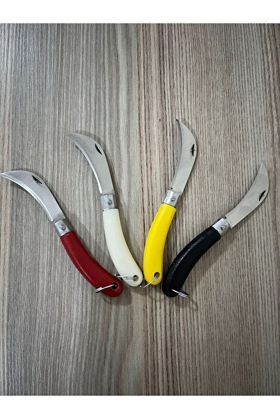 Alpeva ( 2 Adet ) 10 Cm Mini Cep Bıçağı Çakı Küçük Katlanır Anahtarlık