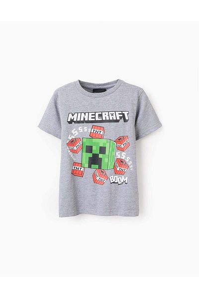 Ziddy Cotton T-shirt for Boys 'Minecraft', Grey