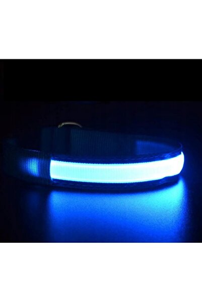 OEM Zgarda Cu Iluminare Led Pentru Caini Si Pisici, Marimea M 46-54 Cm, Albastru