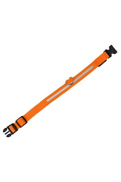 OEM Collar with LED Lighting for Dogs and Cats, Size M 46-54 Cm, Orange