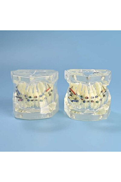 OEM şeffaf birincil modeli çalışması dökme ortodonti şeffaf Metal braket liga...