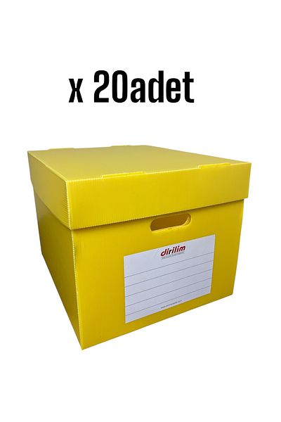 dirilim plastik Reborn Plastic Archive Box 42*35*30cm 5 Pieces Folder Capacity Folder Plastic Corrugated 20 Pieces