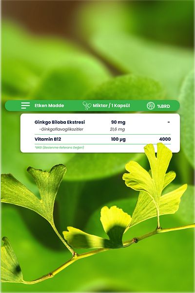 Smartcaps Ginkgo Biloba B12 60 Capsules