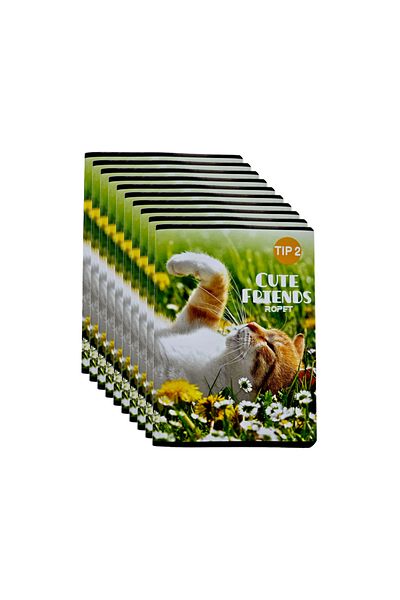 Ropet Set of 10 notebooks Type 2, 24 sheets