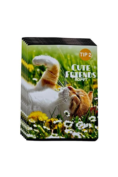Ropet Set of 5 notebooks Type 2, 24 sheets