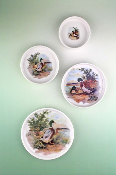 Bursa Porselen Dekor Colorful Duck 4 Size Porcelain Plate Set