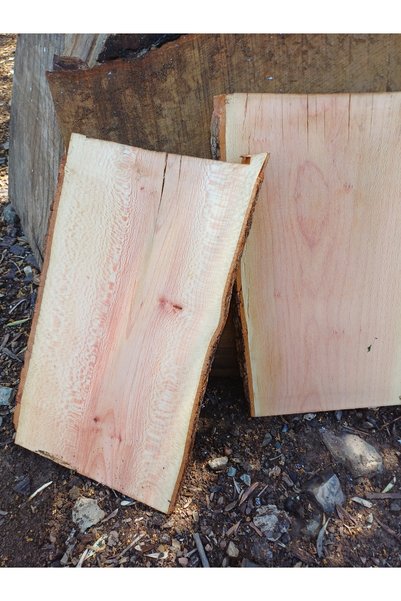 oliveforestwood Plane Tree Table (2 Pieces)