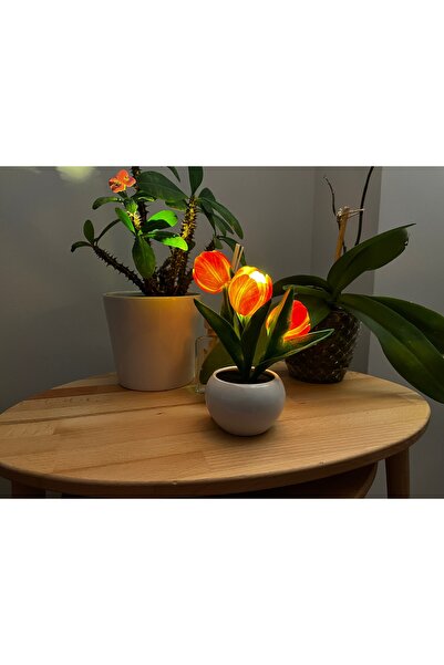 U&H STORE Led Lale Dekoratif Masaüstü Lambası/Gece Lambası. Turuncu Renk.