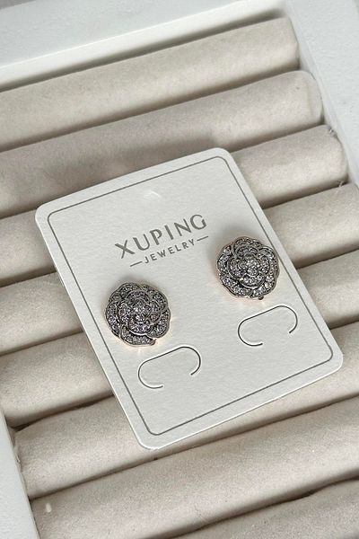 TAKIŞTIR أقراط Xuping من الفولاذ بتفاصيل حجرية فضية اللون (زوج)