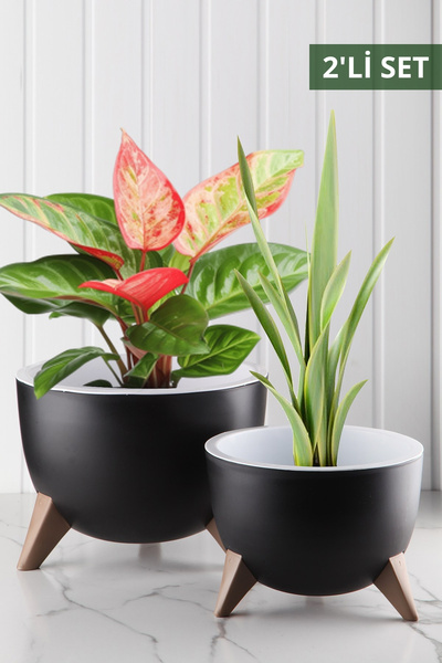 Nandy Home Ufo Model 2'li Saksı Seti