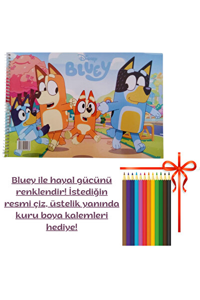 booddie Resim Defteri 17 cm *24 cm Bluey Küçük Boy 15 sayfa 12'li Kuru Boya H...