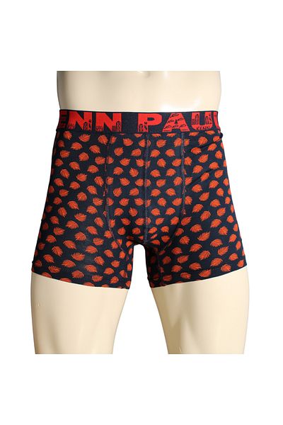 Kennpaul 5 Pack Patterned Cotton Luxury Boxers |   Comfortable Boxer |   Soft