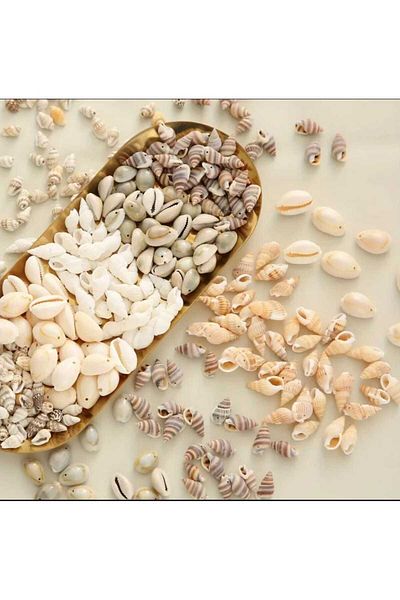 yiğit aksesuar 100Pcs 5 Model 5I Mixed Hole Seashell Jewelry Making Supplies