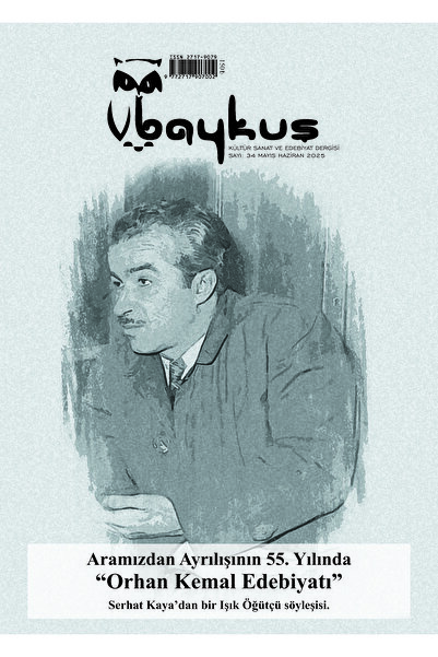 34. SAYI
