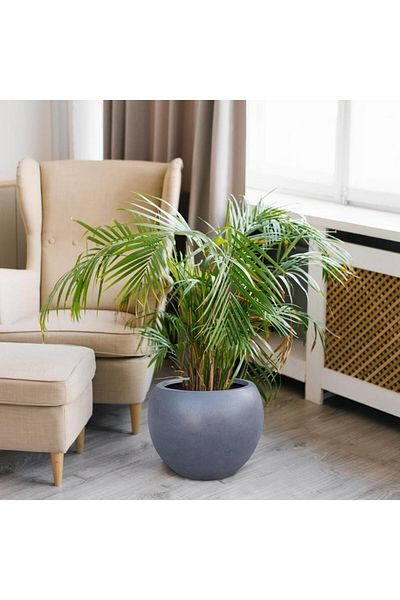 Nettenevime Sphere Round Ball Vase Decorative Flower Pot Anthracite 25*20cm