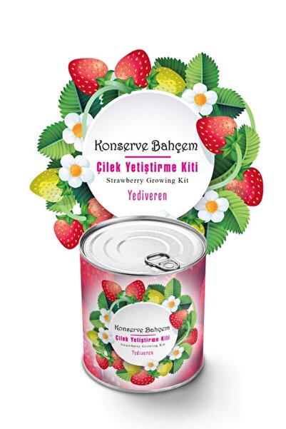 Konserve Bahçem Çilek Yetiştirme Kiti - Çilek Meyve Fidesi Yetiştirme Kiti Çilek Tohumu Ve Torf Seti