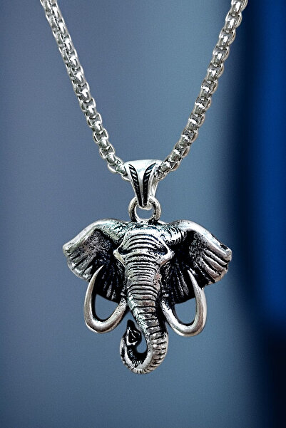 AK STORE SİLVER Gümüş Kaplama K-152 Paslanmaz Kromix Erkek Kolye Madalyon Güç...