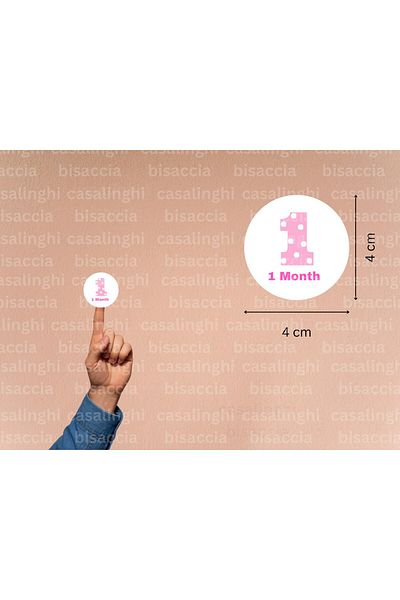 CASALINGHI English 12 Month Baby Sticker 1-12 Months Girl Child Newborn Pink Sticker 4 cm (84 Pieces)