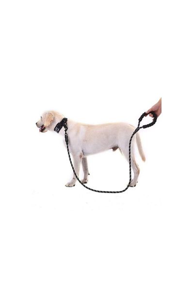 Seven Dog Neck Collar Reflective Walking Strap Small Medium Large Dog Collar Training Product Neck Collar