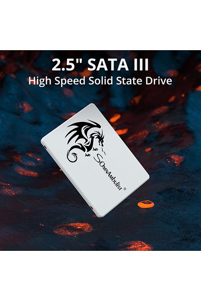 Choice محرك أقراص الحالة الصلبة الداخلي Sata3 من Somnambulist بسعة 64 جيجابايت بلون أبيض مائل للصفرة، مقاس 2.5 بوصة، لأجهزة الكمبيوتر المحمولة