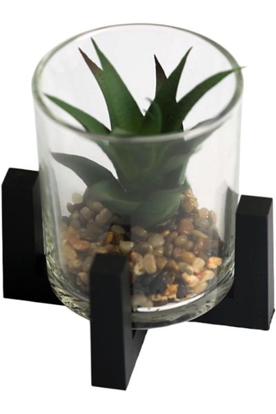 Generic Habbaa Modern Small Artificial Succulent Jar with Black Stand | Fake House Plant in Pot for Home &