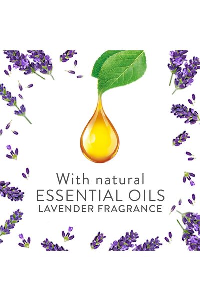 Air Wick Scented Oil Scent Diffuser Refill, Beach Escape Scent, 19 ml x2