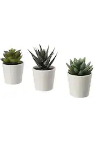 Generic AMREEN Artificial Potted Plant with Pot, Indoor/Outdoor Succulent, 6 cm, Set of 3