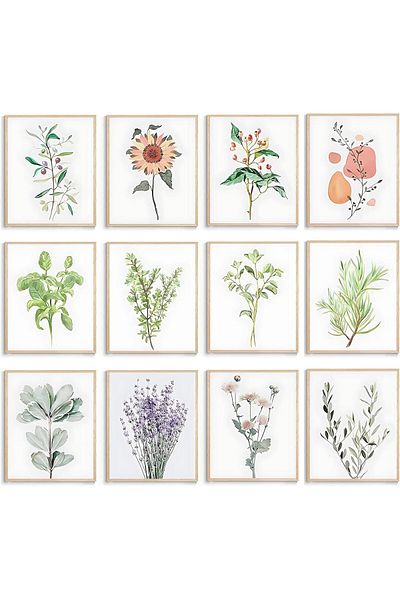 Generic Today Idea 12pcs Botanical Canvas Prints Plant Wall Art for Living Room & Bedroom Decor (Frameless-