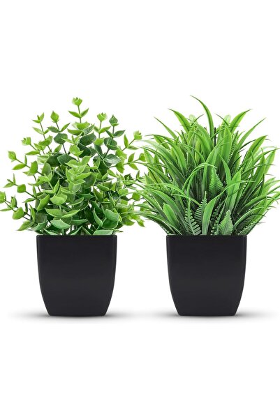 Saharaz عبوتان من النباتات الصناعية، نباتات صناعية في أوعية سوداء، نباتات صنا...