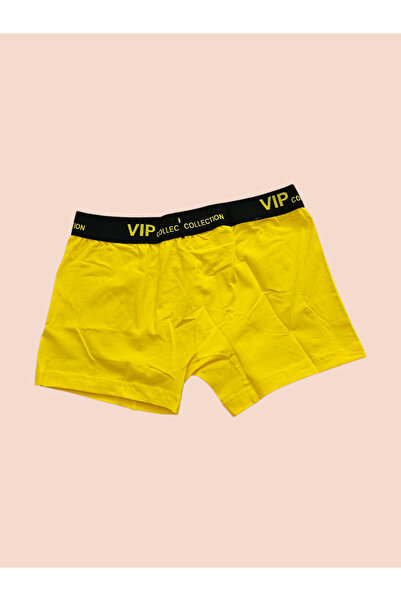 ZİBENS VIP ERKEK BOXER - CANLI RENKLER