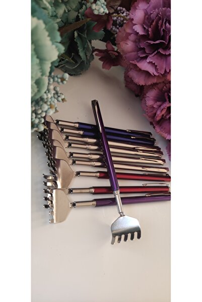 Genel Markalar Teleskopik Sırt Kaşıyıcı 3 Adet Uzayabilme Özellikli Sırt Kaşa...