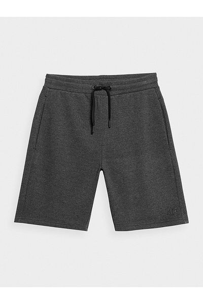 4F Men's Sports Shorts 4FSS23TSHOM156 Gray
