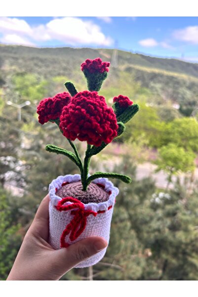 handmade bloom Kırmızı karanfil örgü hediyelik