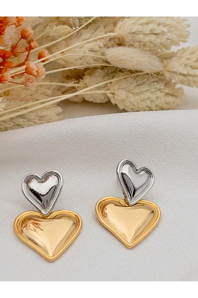 Siya Silver Heart Model Plate - Two Color Double Women's Earrings