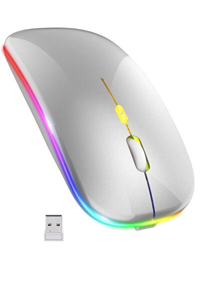 Rever Kablosuz Şarjlı Mouse RGB Led Işıklı Laptop / Notebook / PC Yumlu