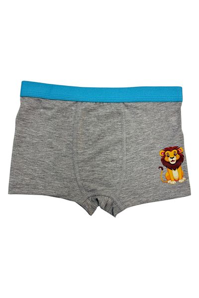 LAUMA Men's Kids Boxers 6 Pack Assorted Color and Pattern Cotton and Stretchy Fabric