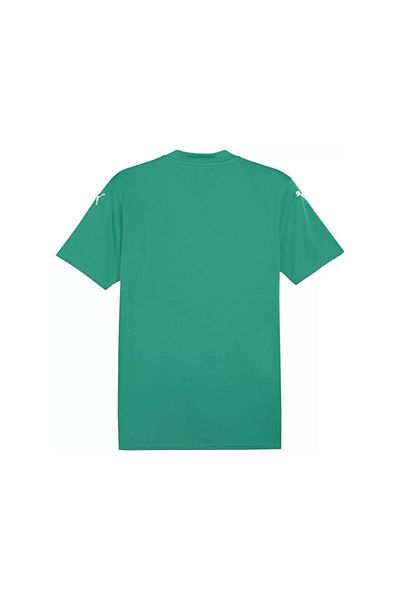 Puma Teamglory Jersey Men's Football Jersey 70574005 Green