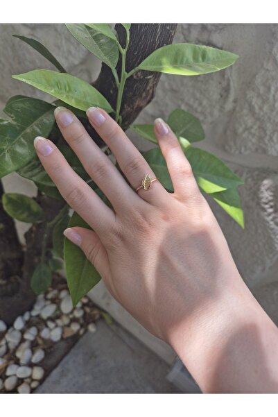 Panelya حلقة على شكل ورقة شجر مطلية بالفولاذ