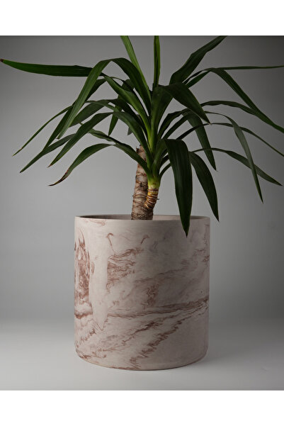 Kaju Creative Dekoratif Beton Saksı 30 CM - Deliksiz - 20L