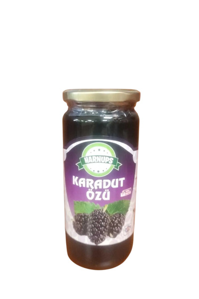 Doğal Doktorum Harnups Karadut Özü 640g