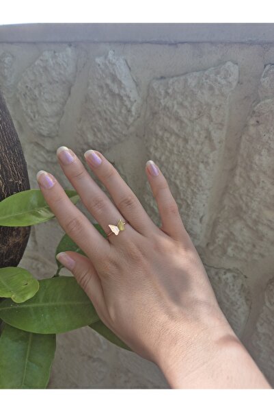 Panelya حلقة على شكل فراشة مطلية بالفولاذ