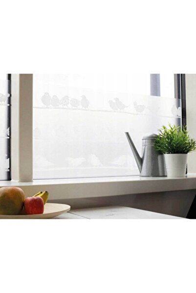 d-c-fix 189-0020 Premium Kuş Görünümlü Statik Cam Folyo ( 45 cm x 1 mt )
