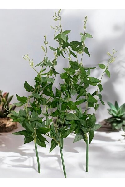 Lilac Home 3 Demet Çok Amaçlı Yeşillik