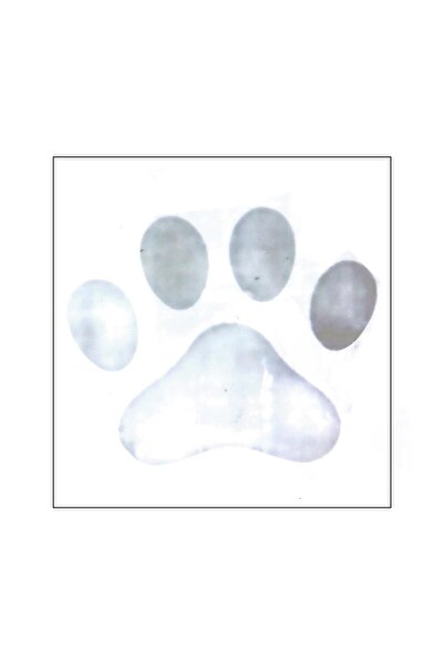 Mecit Tuhafiye 1 AY KALICI PATİ MİNİMAL BİLEK VUCUT İÇİN GEÇİCİ DÖVME