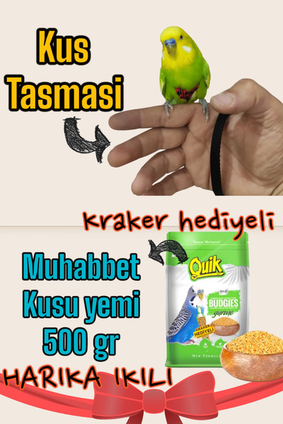 ozzipetshop Muhabbet Kuşu Yemi 500 gr - Muhabbet Kuşu Tasması Harika Ikili