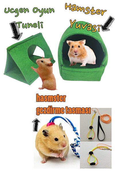 ozzipetshop Hamster Tasması Ve Oyun Tüneli Evcil Hayvanınız Için Rahat Ve Eglenceli Yuva