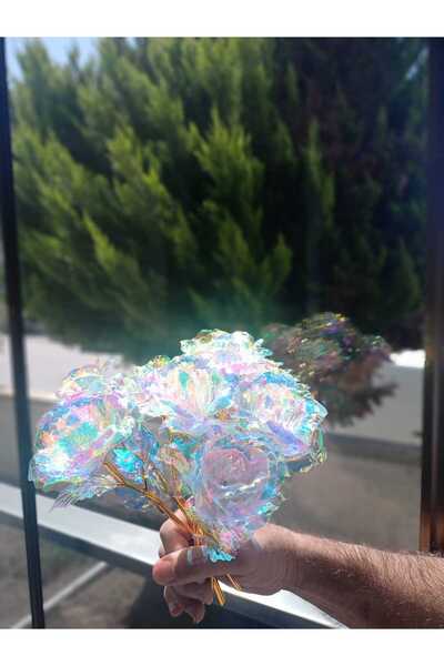 Home 200 قطعة من وردة اللانهاية بالجملة